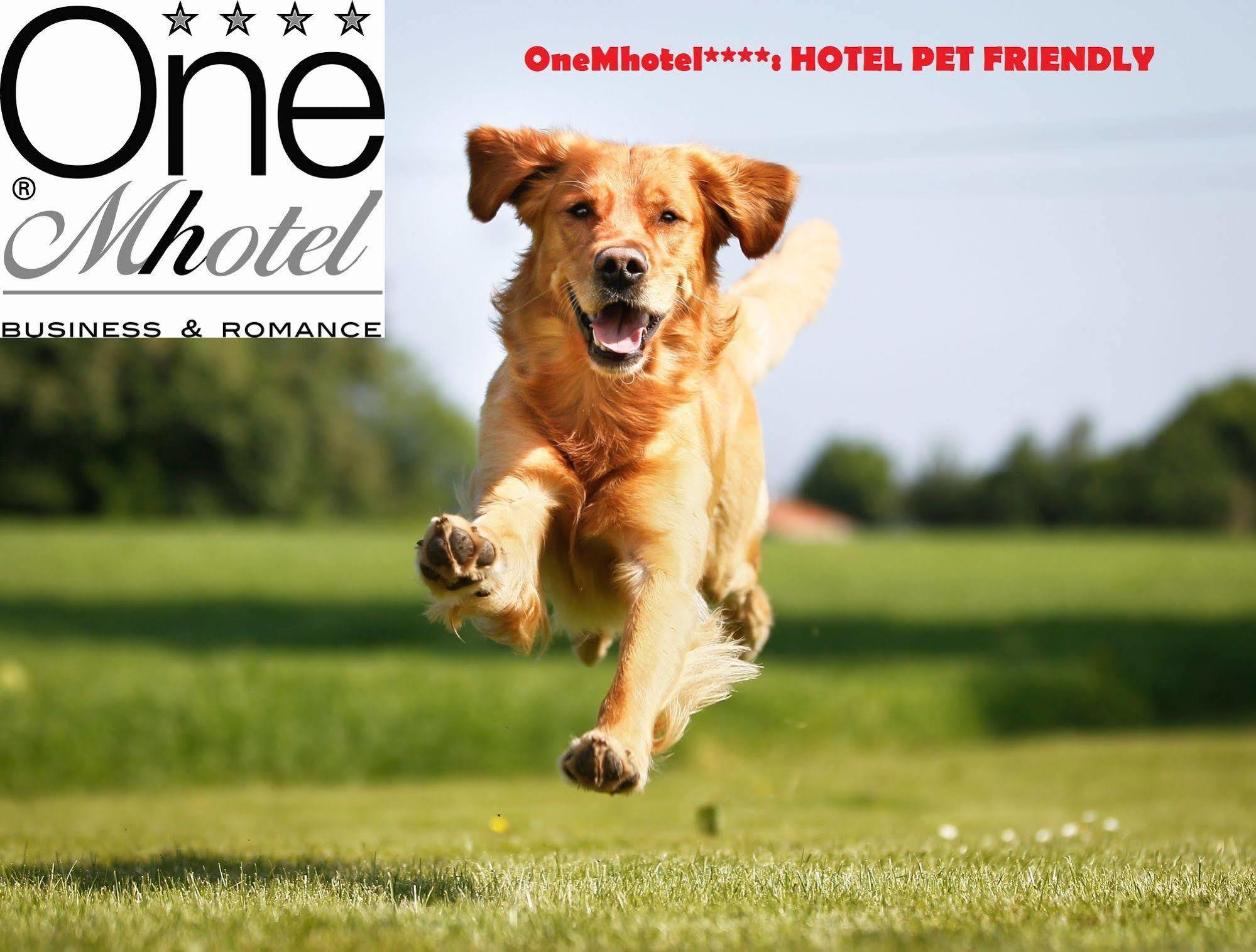 Onemhotel San Paolo  Екстериор снимка
